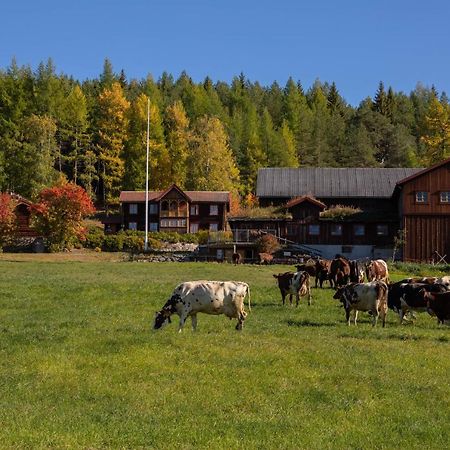 Romenstad Hytter Rendalen Экстерьер фото