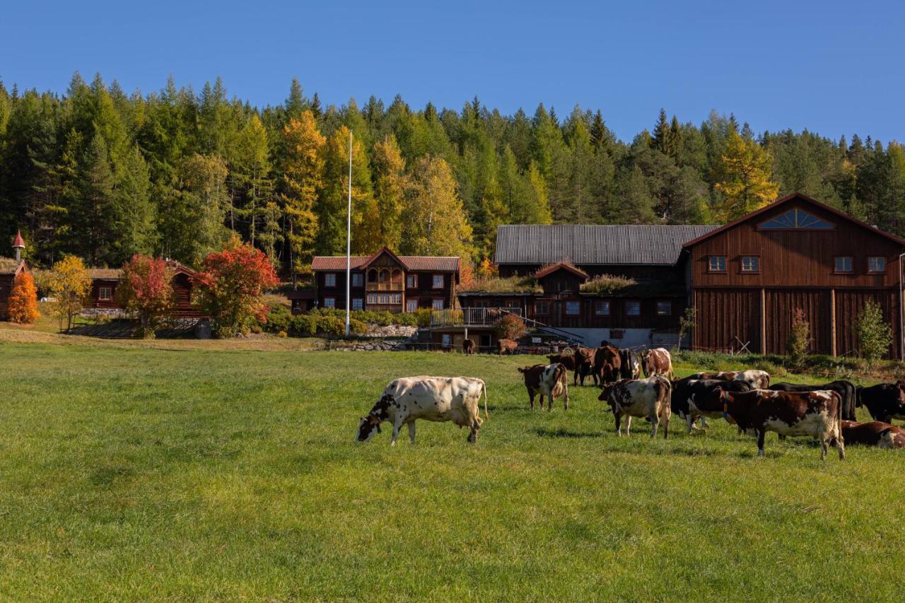 Romenstad Hytter Rendalen Экстерьер фото